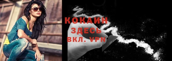 твердый Рославль