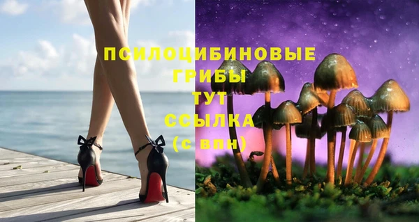 ешки Богородск